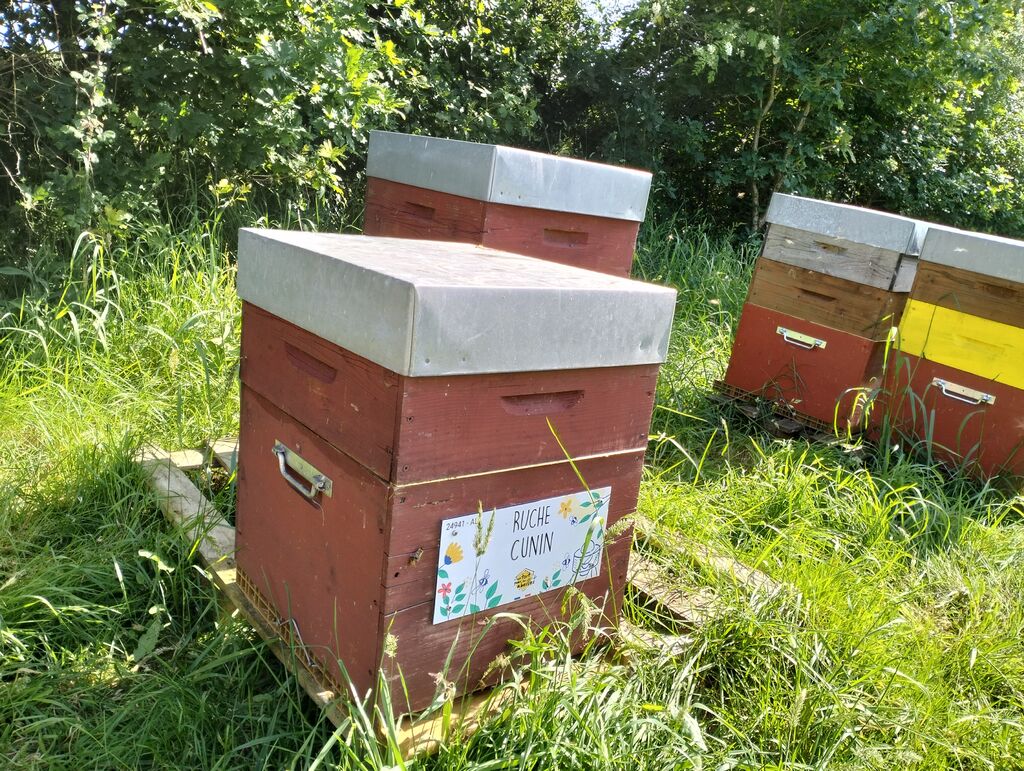 La ruche Cunin