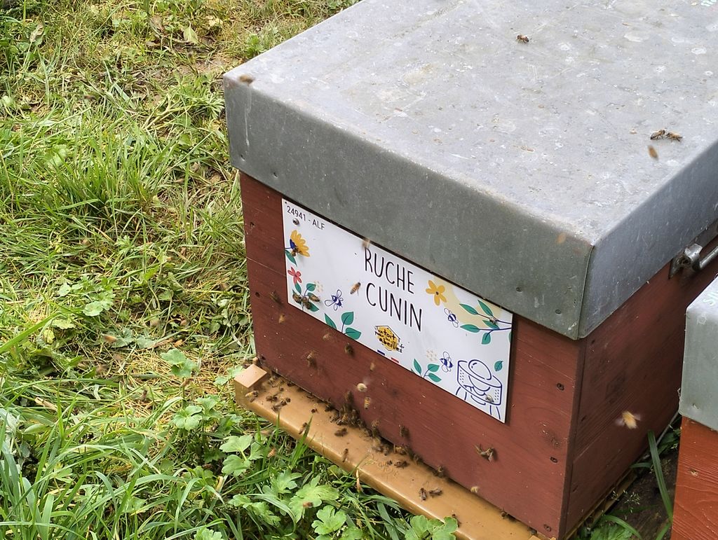 La ruche Cunin
