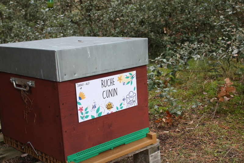 La ruche Cunin