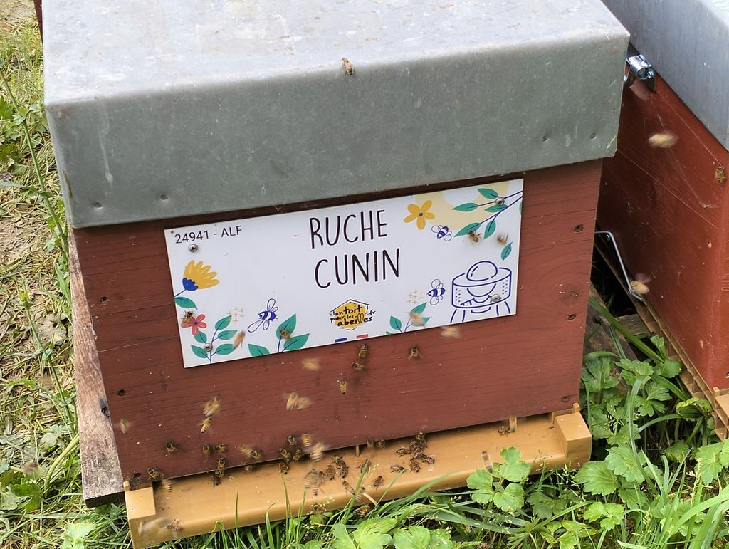 La ruche Cunin