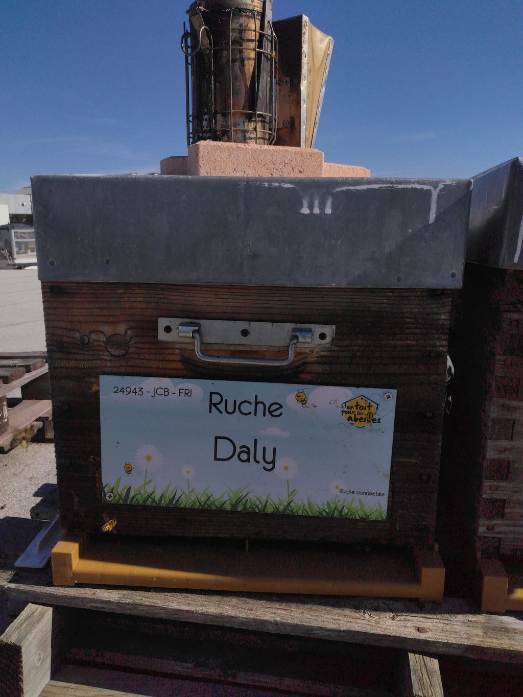 La ruche Daly