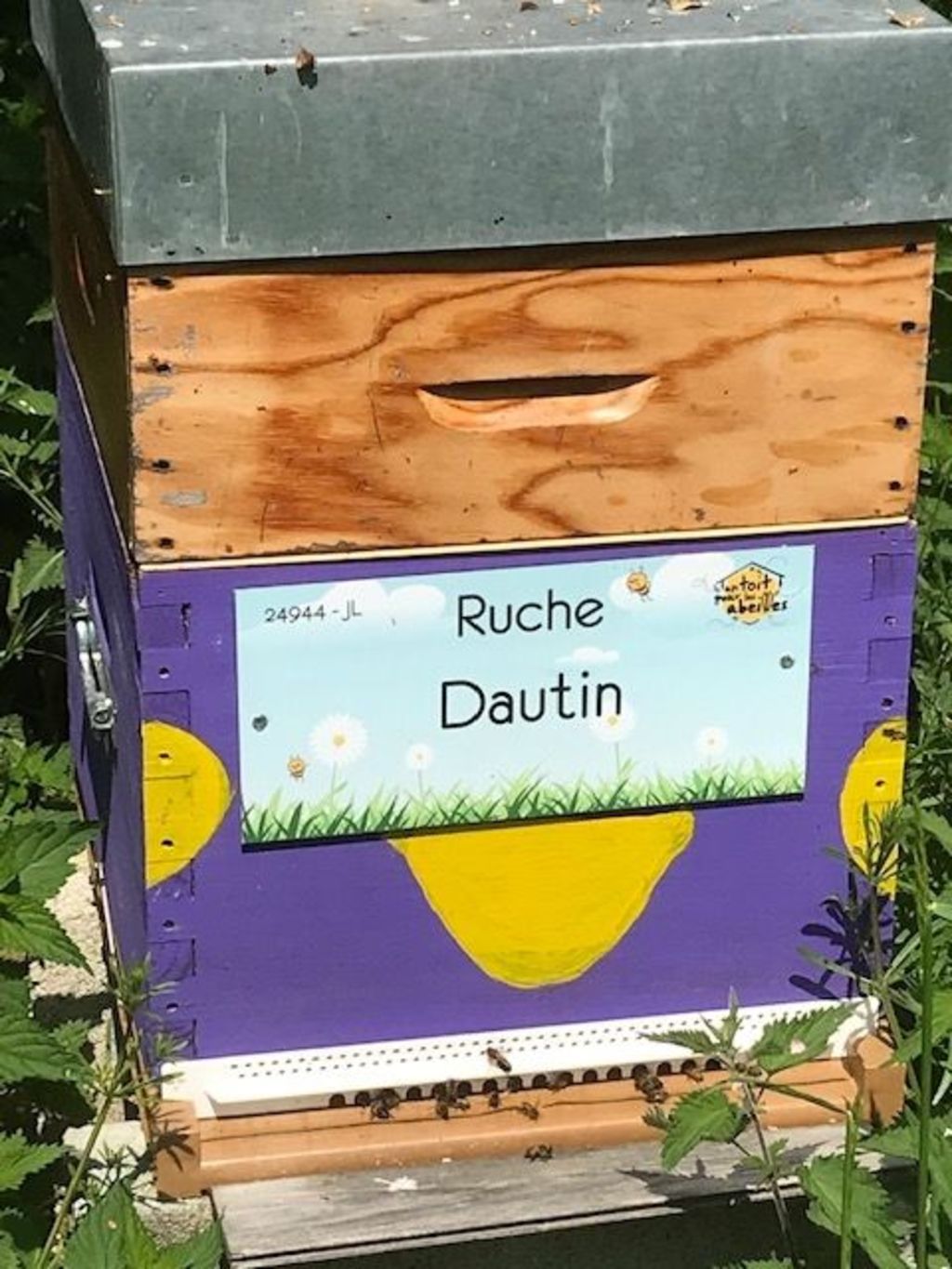 La ruche Dautin