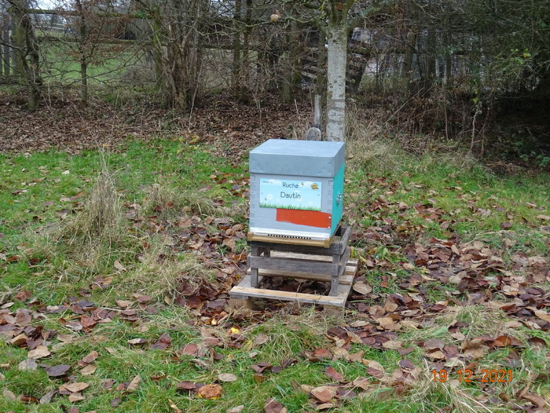 La ruche Dautin