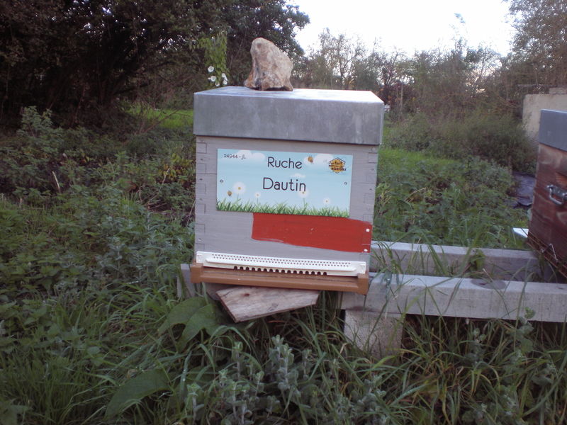 La ruche Dautin