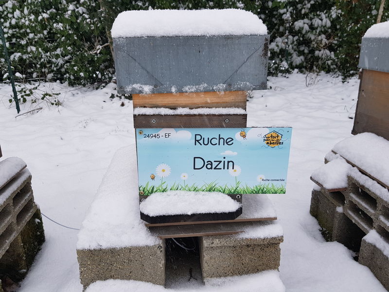 La ruche