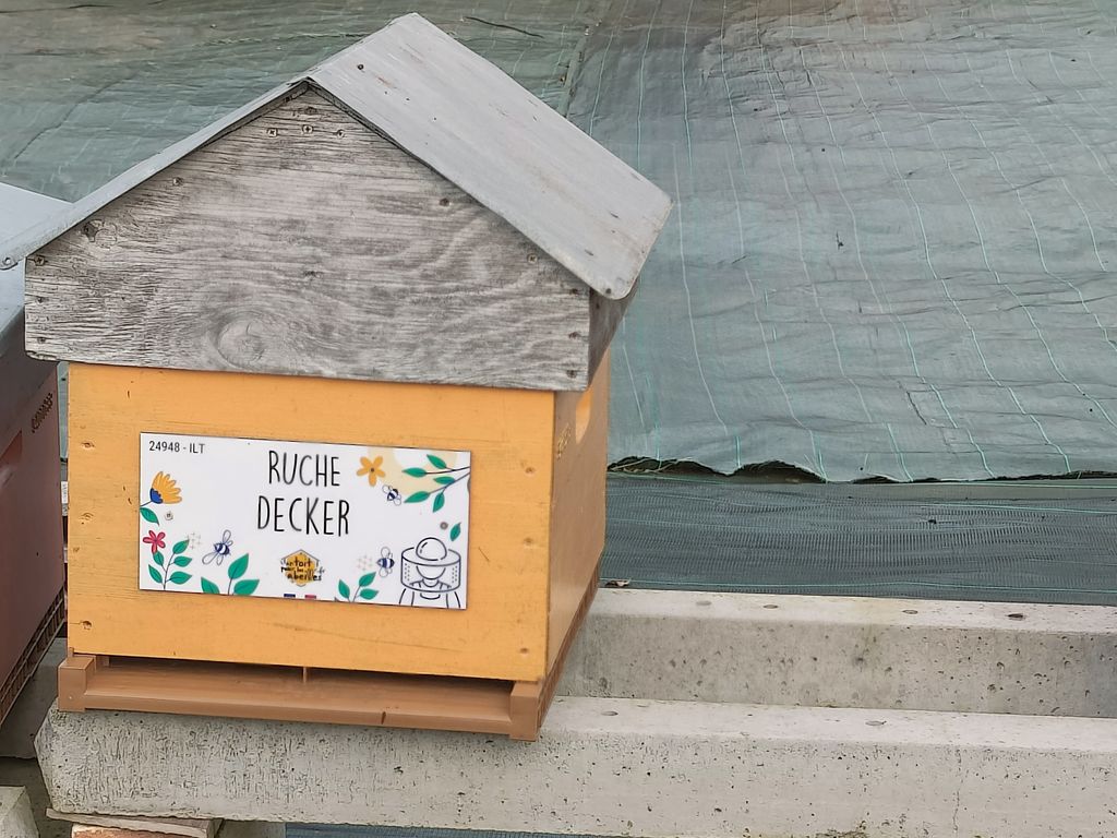 La ruche Decker