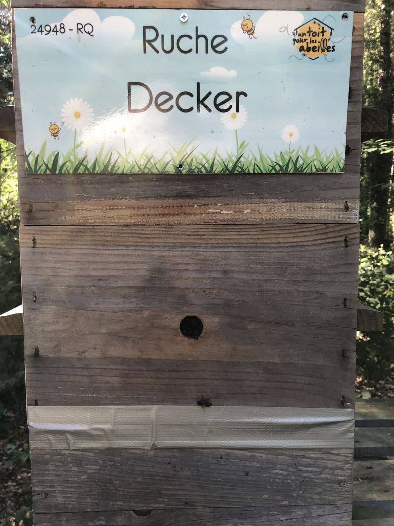 La ruche Decker