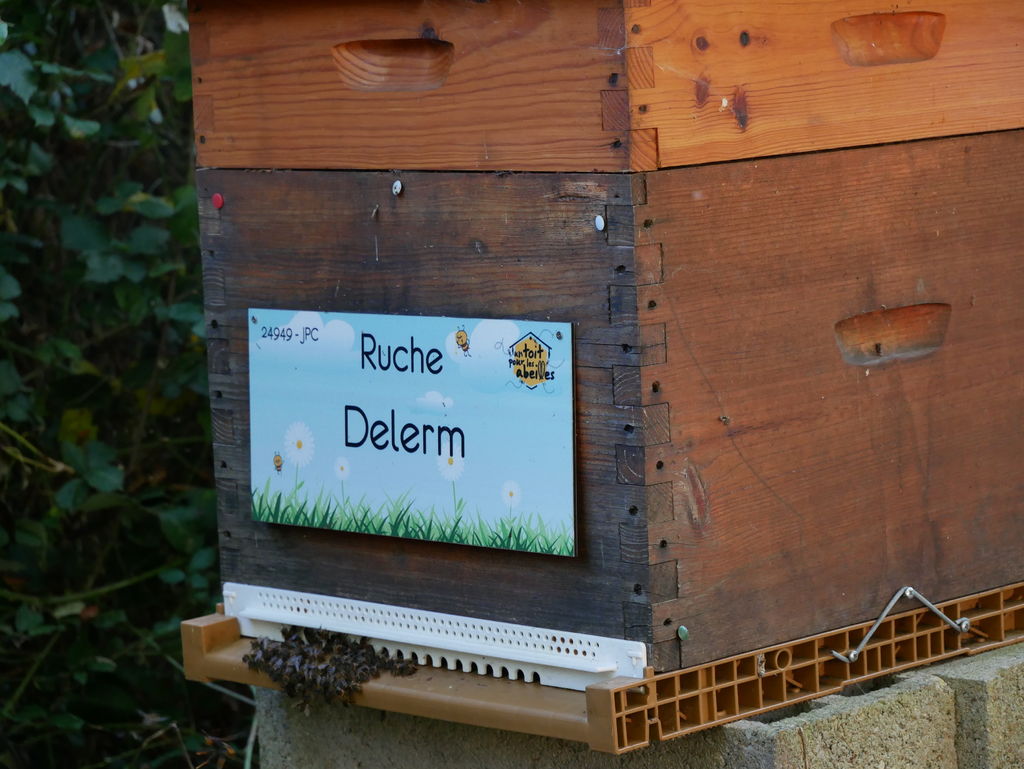 La ruche Delerm