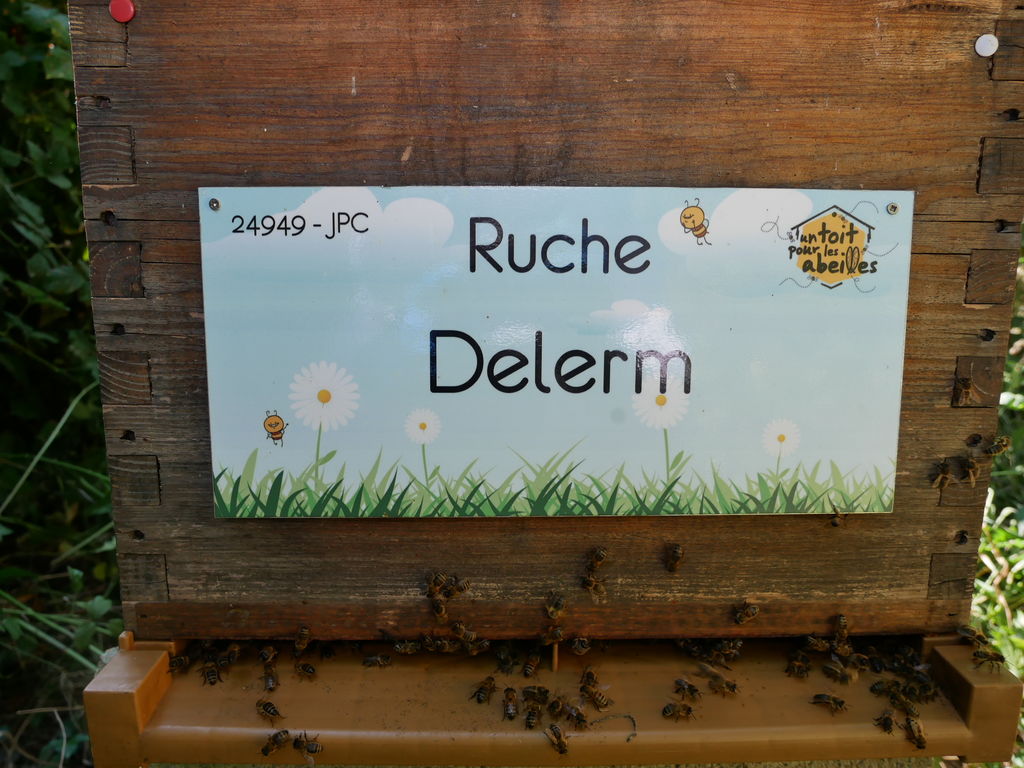 La ruche Delerm