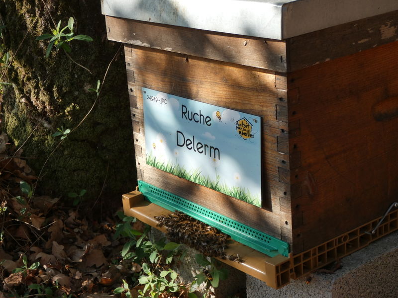 La ruche Delerm