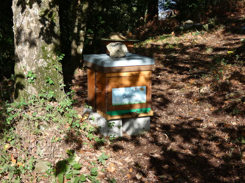 La ruche Delerm