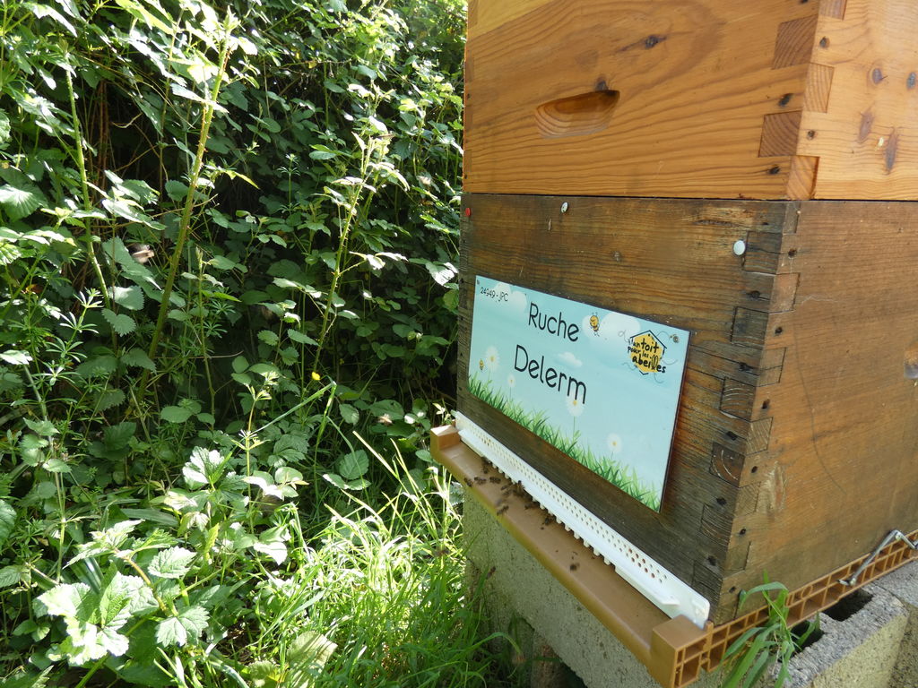 La ruche Delerm