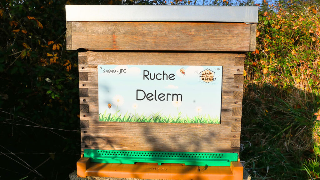 La ruche Delerm