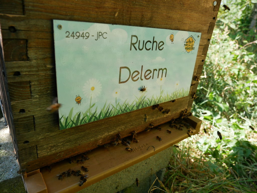 La ruche Delerm