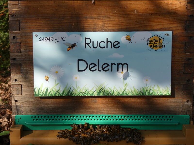 La ruche Delerm