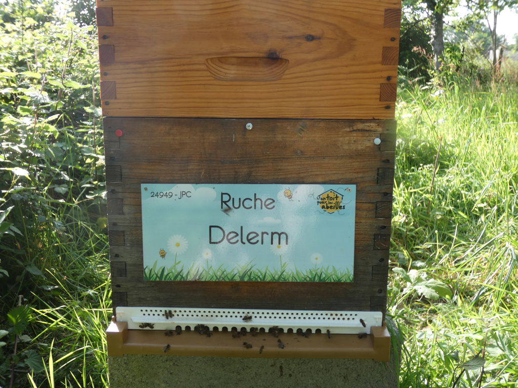 La ruche Delerm
