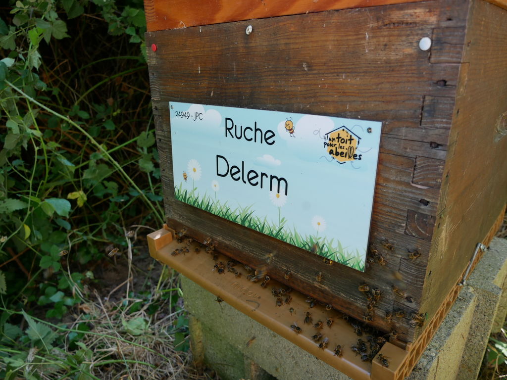 La ruche Delerm