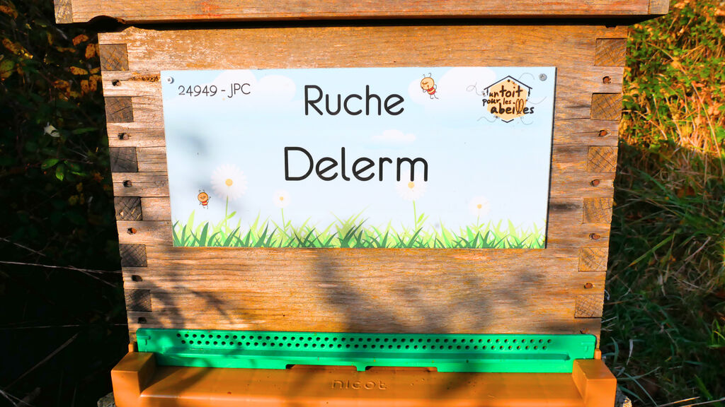 La ruche Delerm