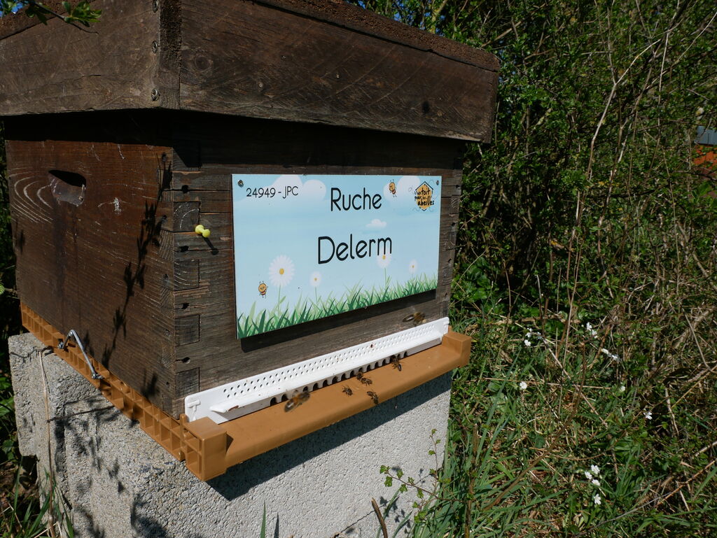 La ruche Delerm