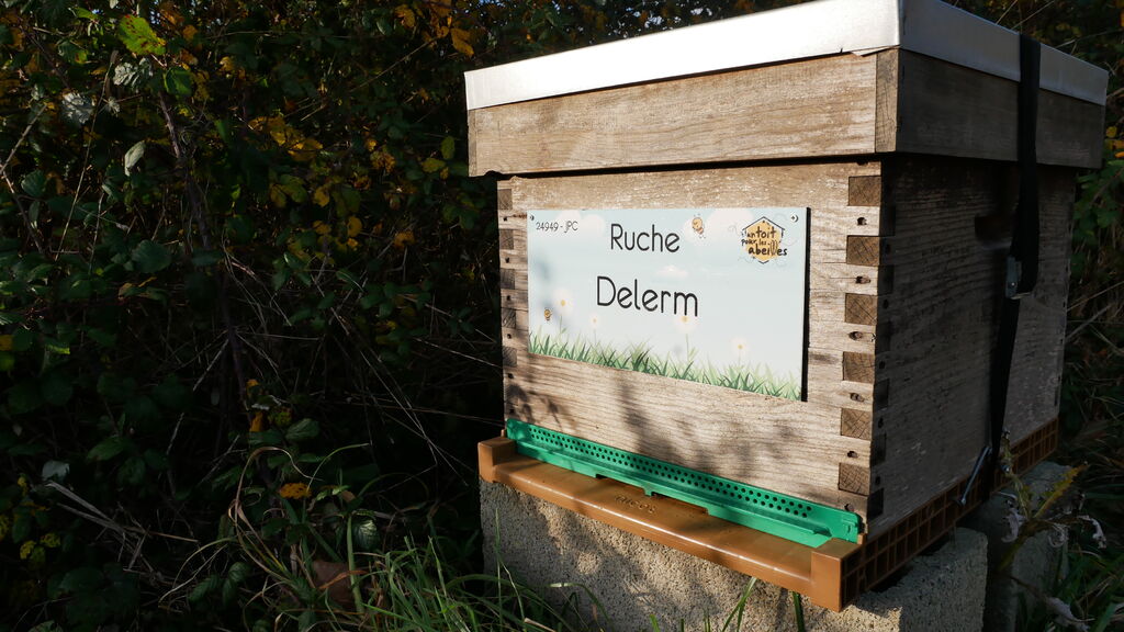 La ruche Delerm