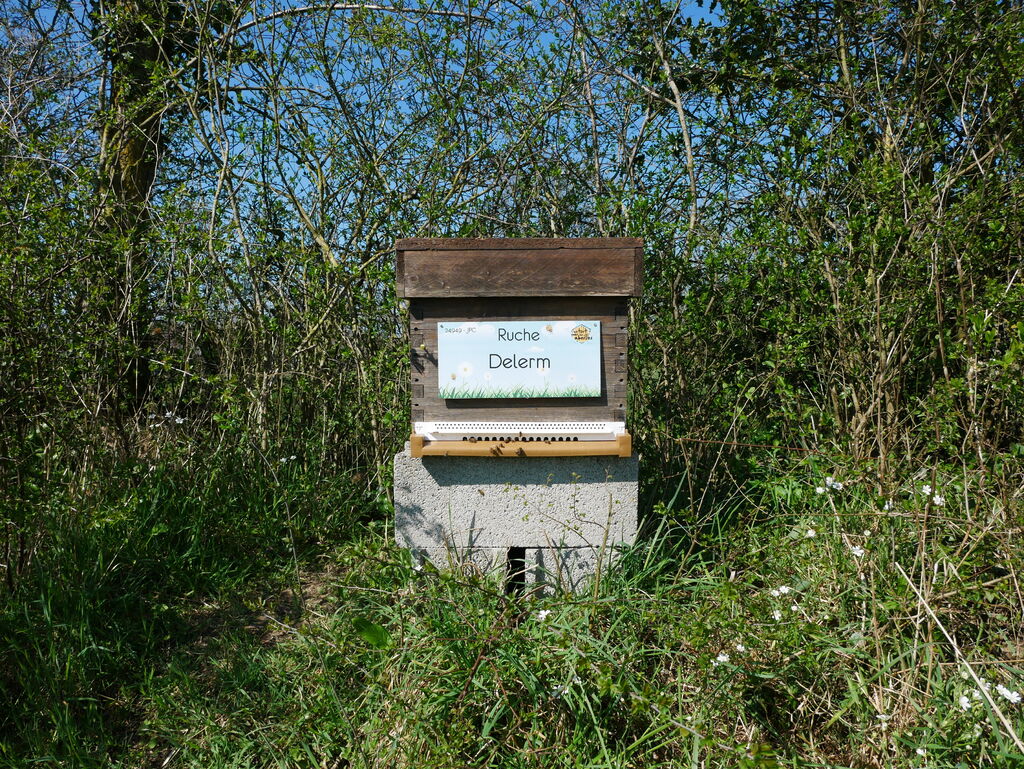 La ruche Delerm