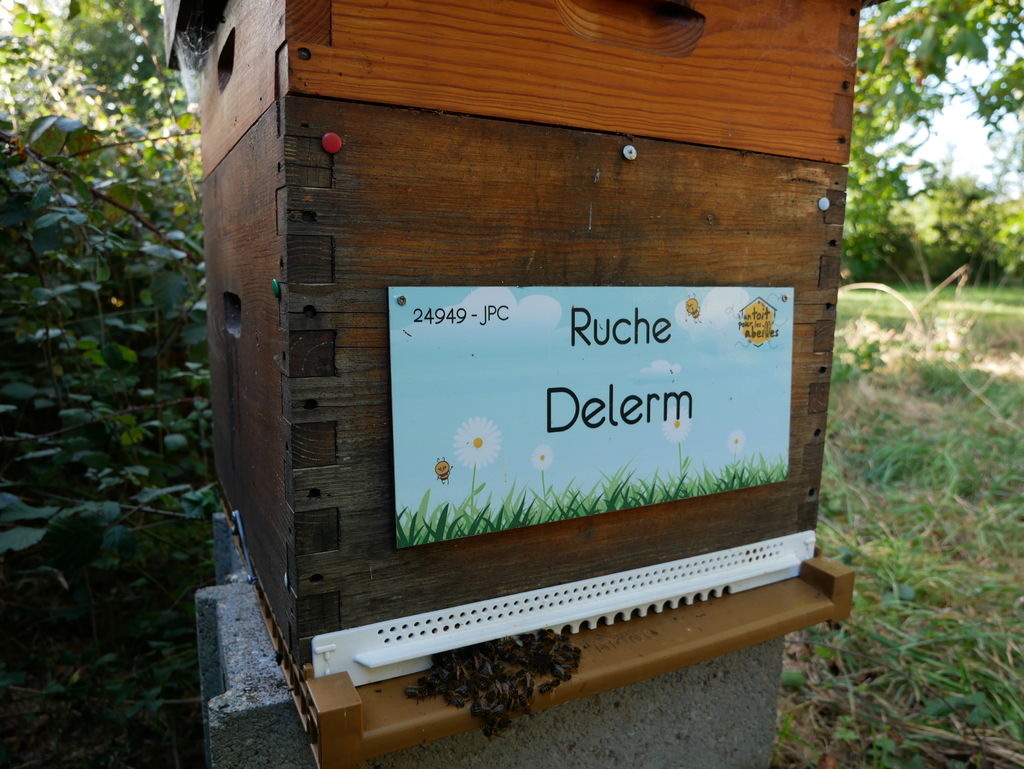 La ruche Delerm