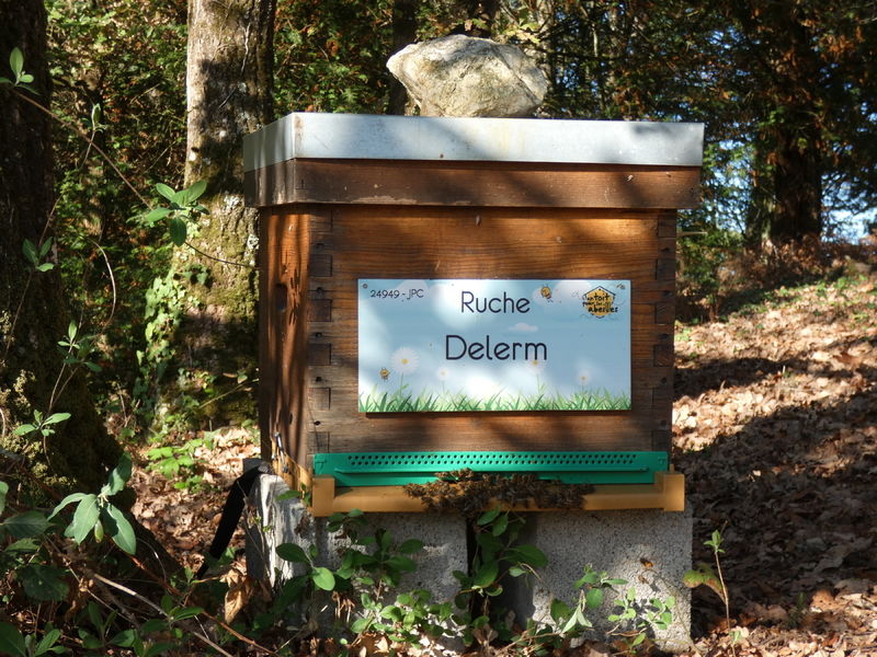 La ruche Delerm