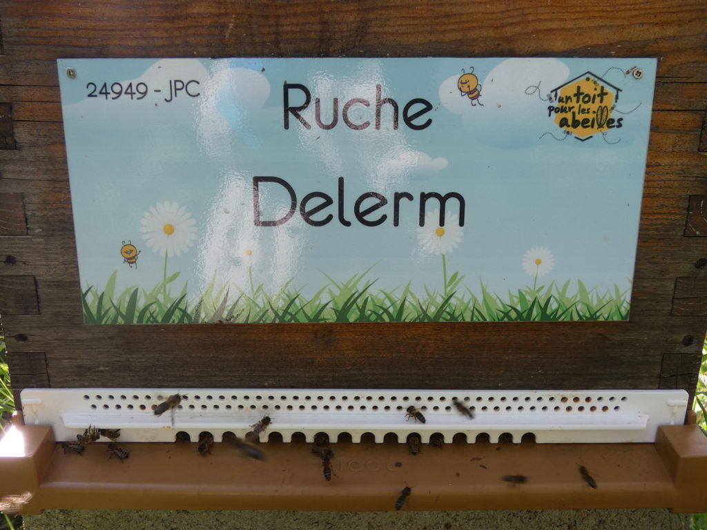 La ruche Delerm