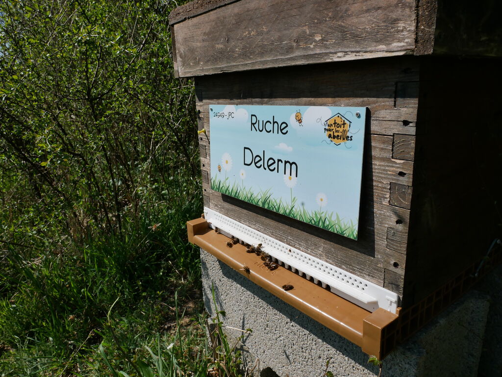 La ruche Delerm