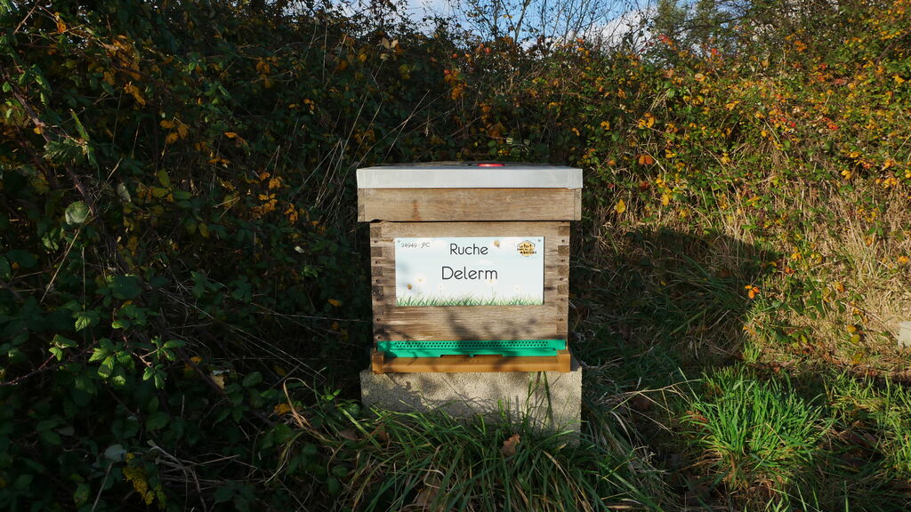 La ruche Delerm