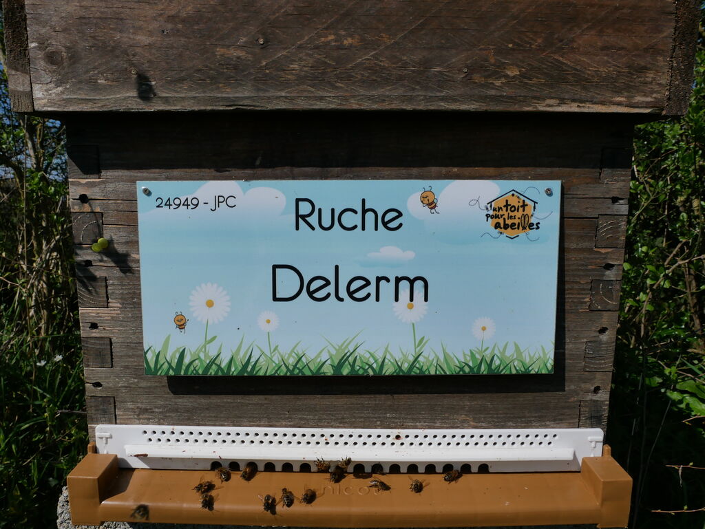 La ruche Delerm
