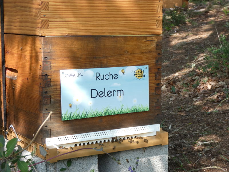 La ruche Delerm
