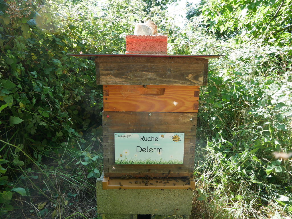 La ruche Delerm
