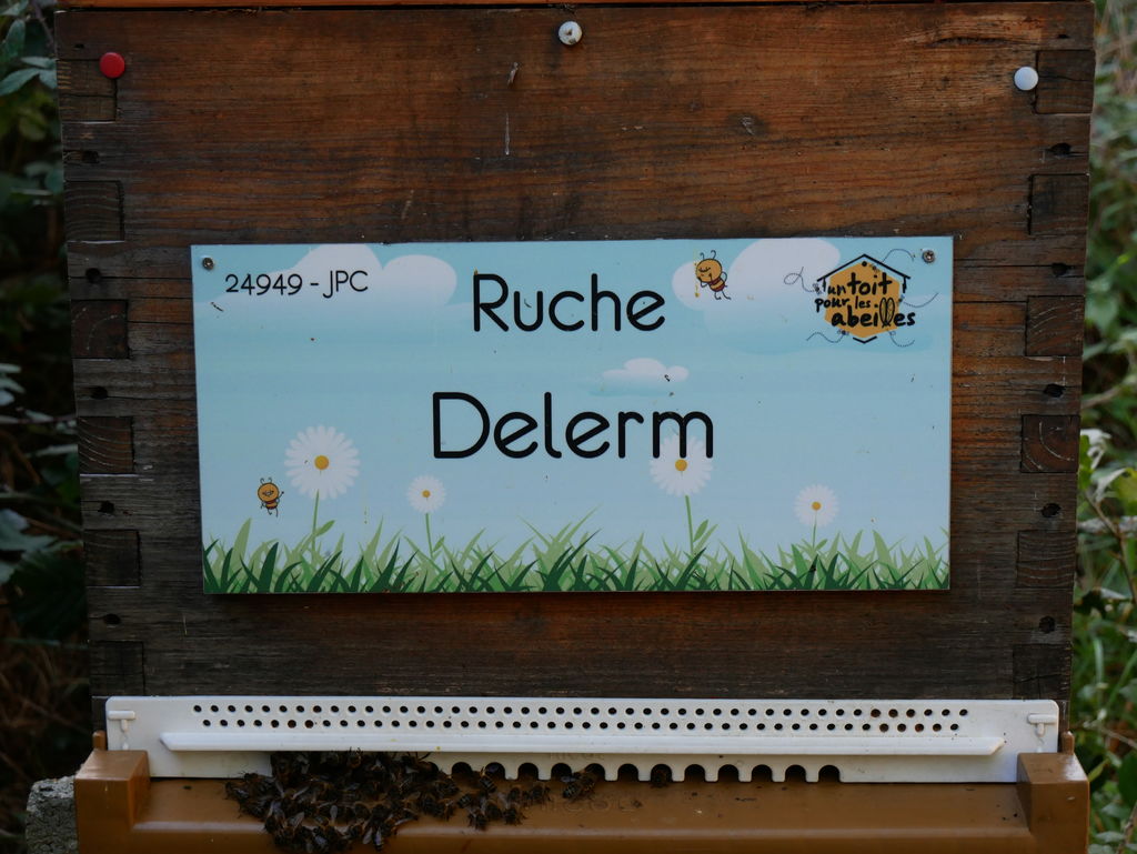 La ruche Delerm