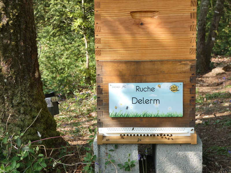 La ruche Delerm