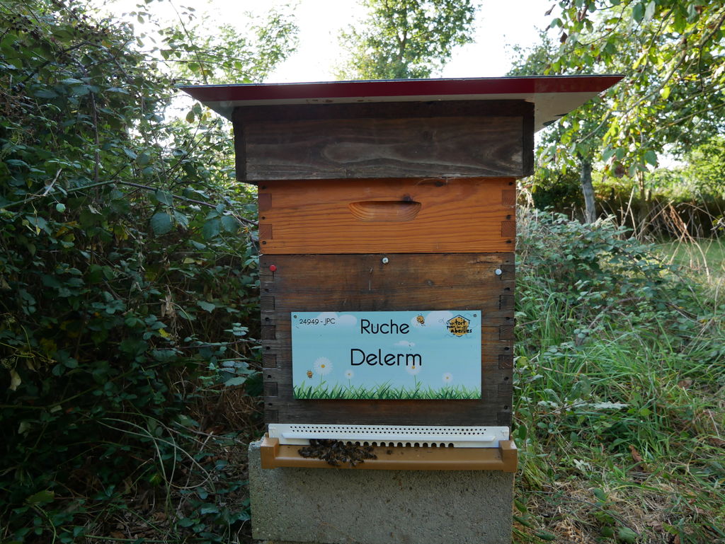 La ruche Delerm
