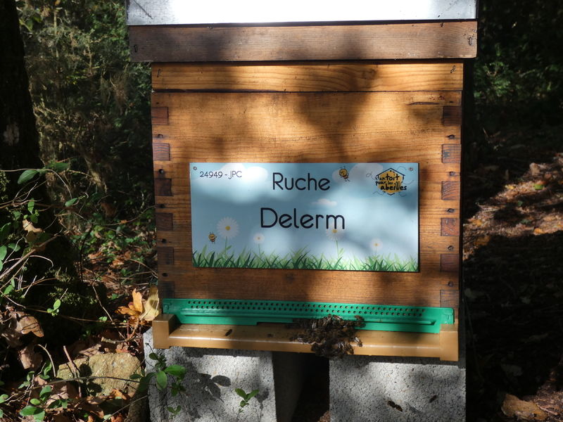 La ruche Delerm