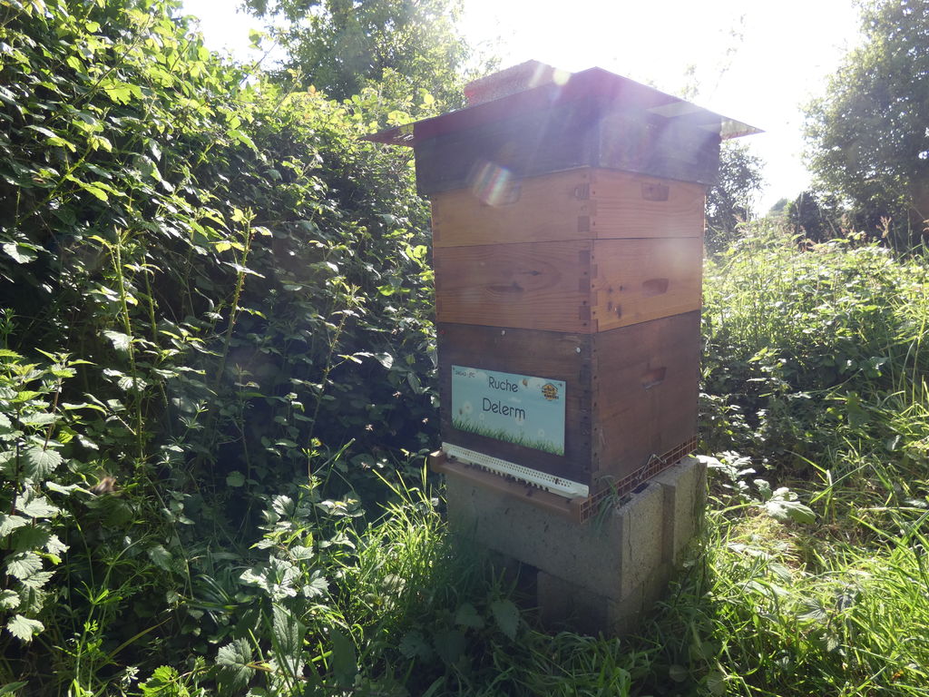 La ruche Delerm