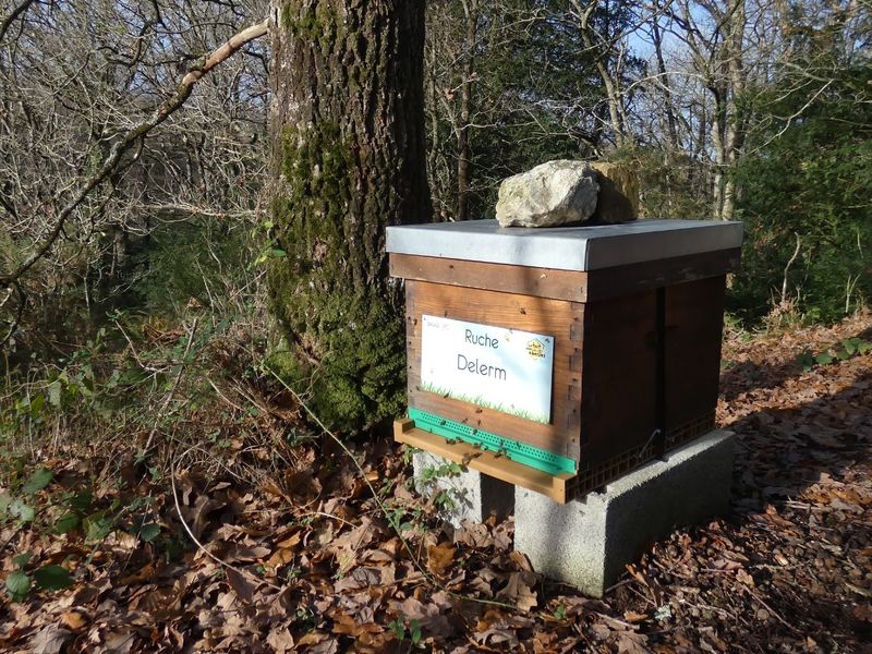 La ruche Delerm