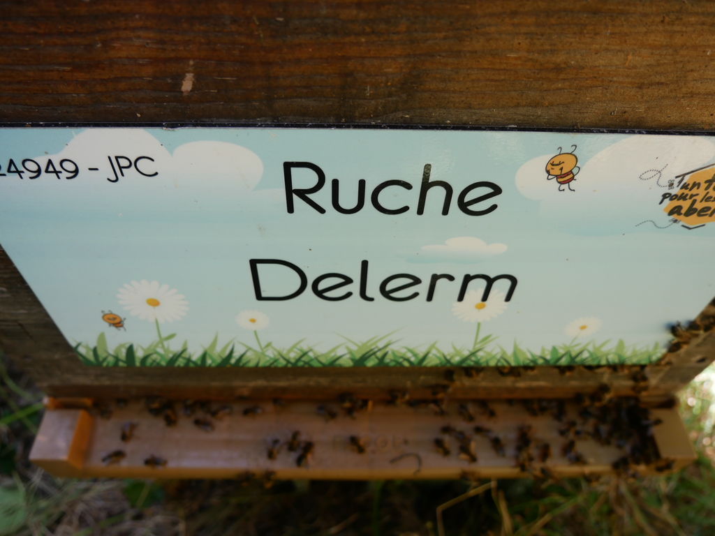 La ruche Delerm