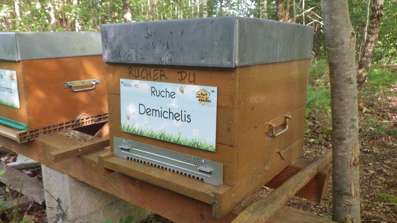 La ruche Demichelis