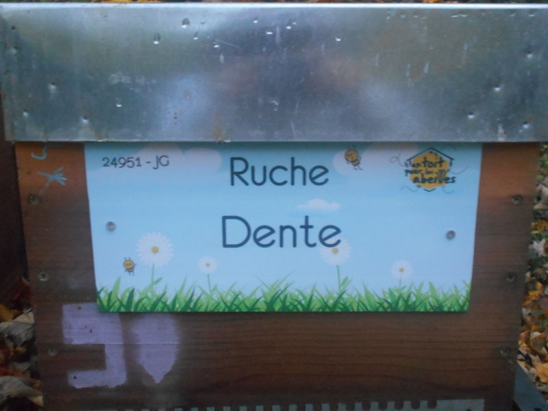 La ruche Dente
