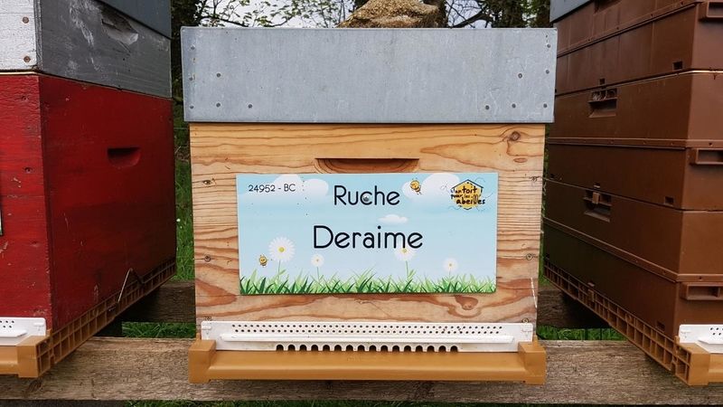 La ruche Deraime