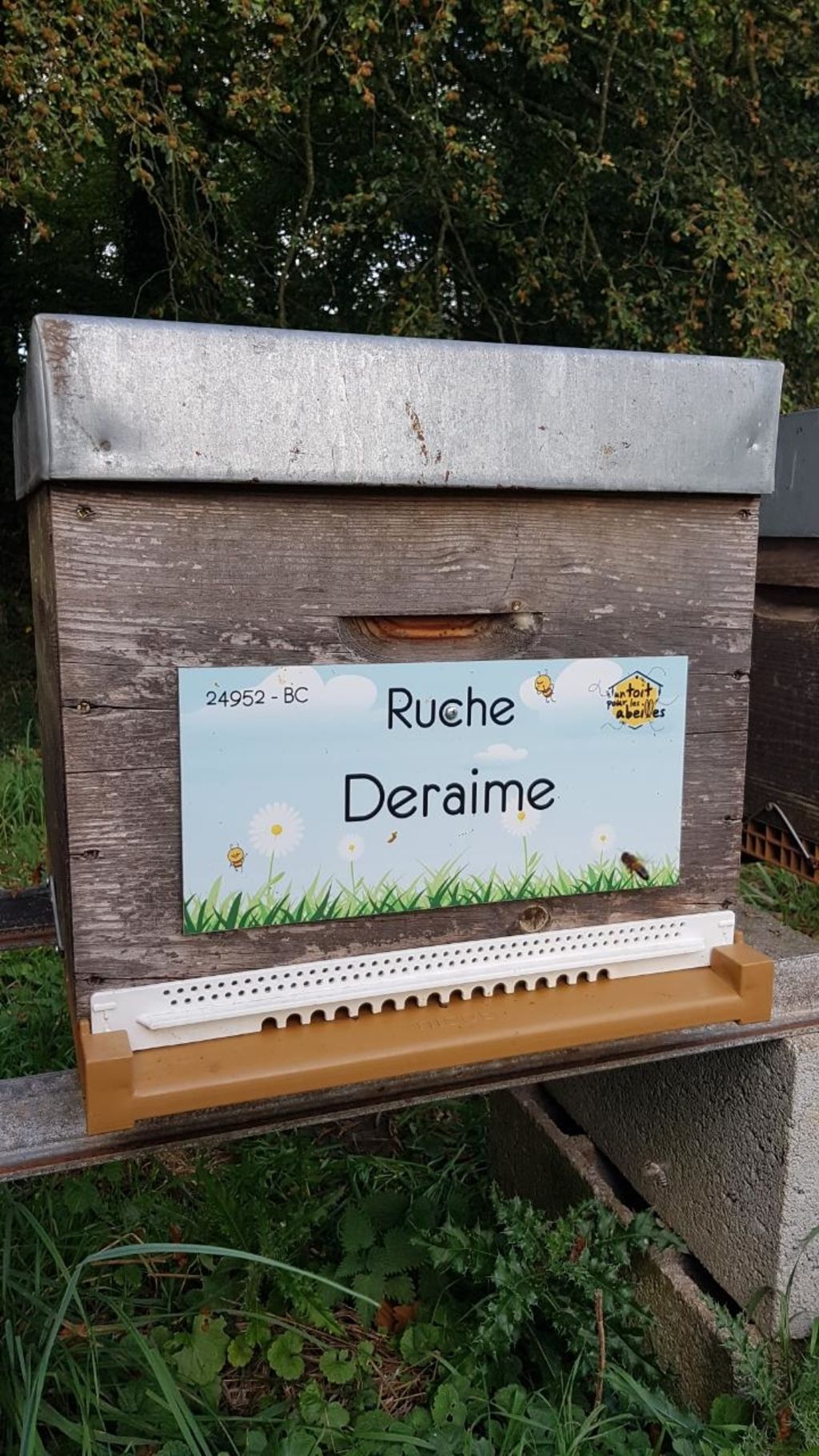 La ruche Deraime