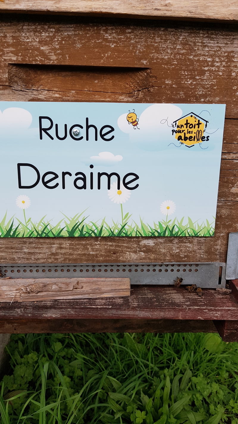 La ruche Deraime