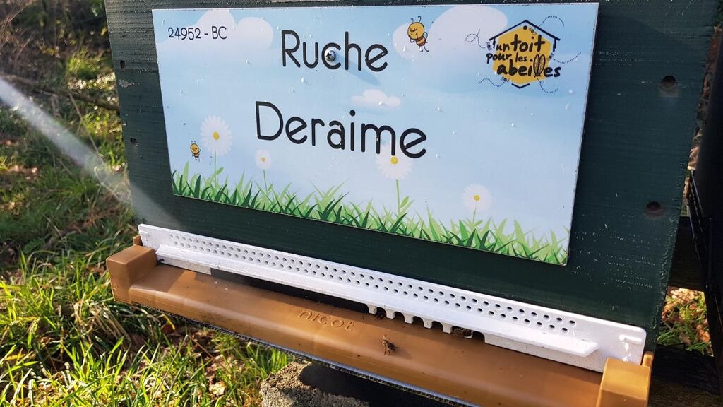 La ruche Deraime