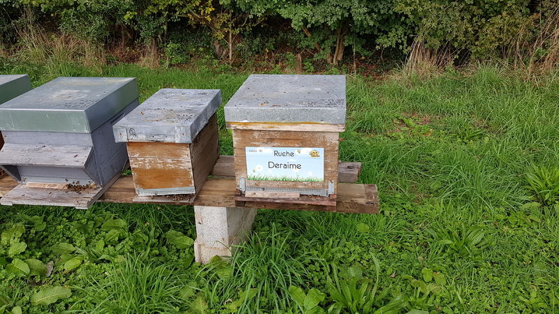 La ruche Deraime