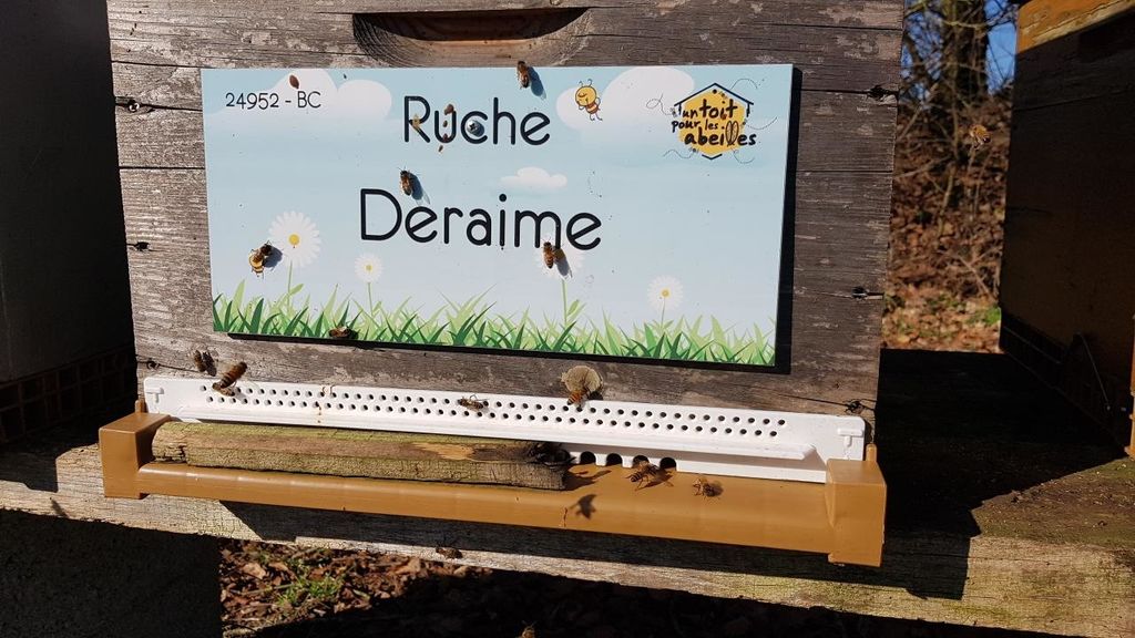 La ruche Deraime