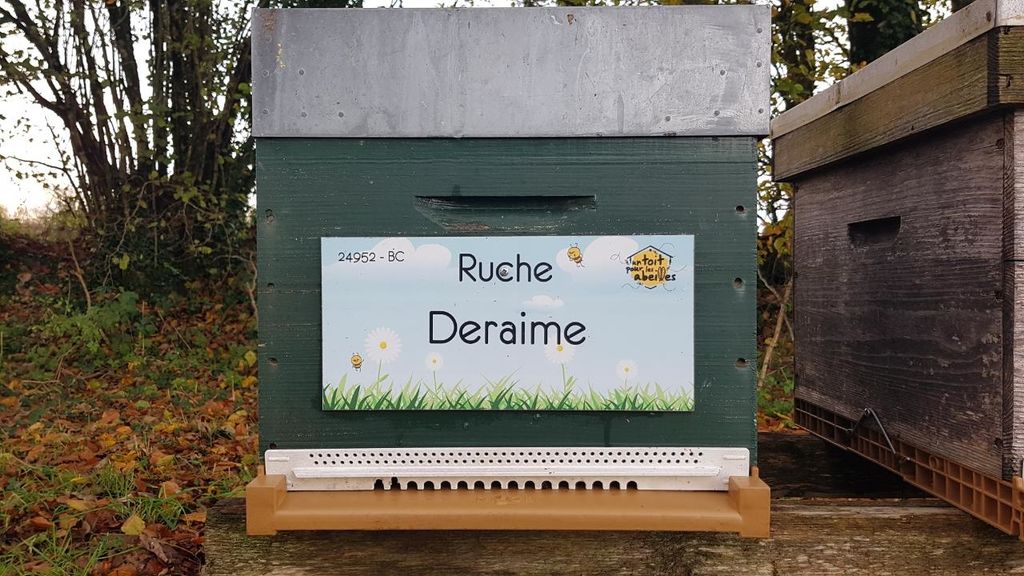 La ruche Deraime