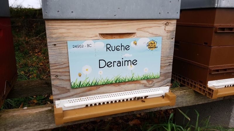 La ruche Deraime